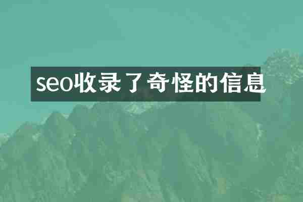 seo收录了奇怪的信息