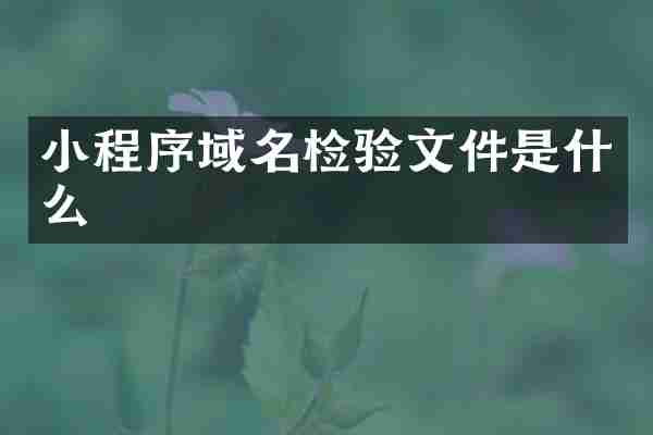 小程序域名检验文件是什么