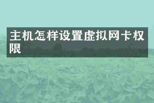 主机怎样设置虚拟网卡权限