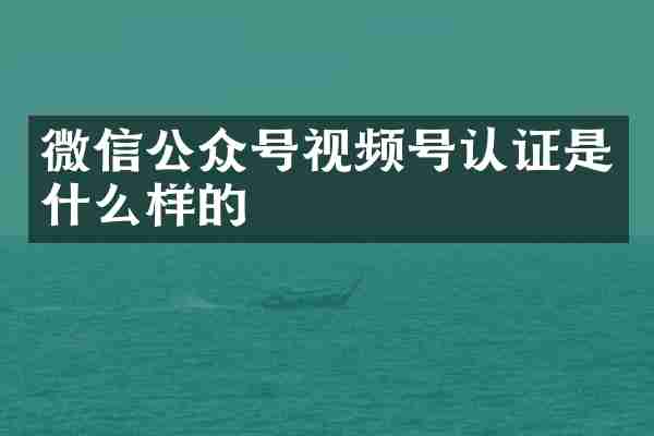 微信公众号视频号认证是什么样的