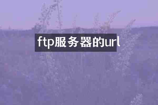 ftp服务器的url