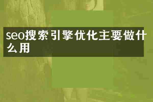 seo搜索引擎优化主要做什么用