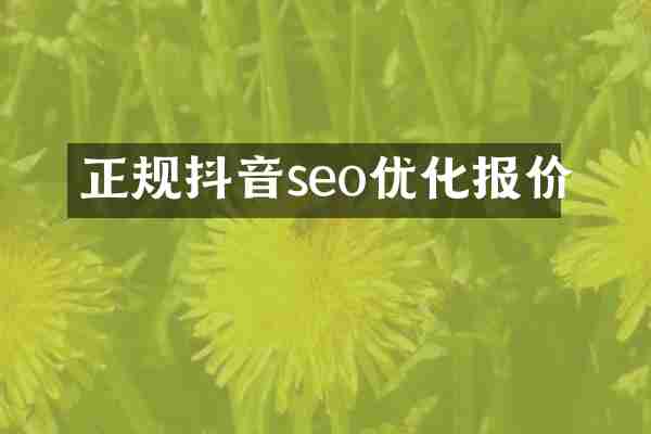 正规抖音seo优化报价