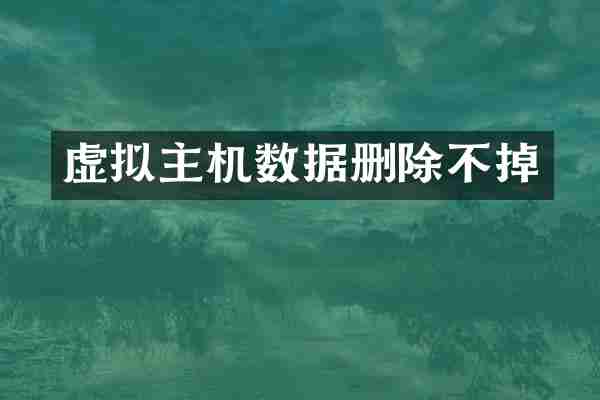 虚拟主机数据删除不掉