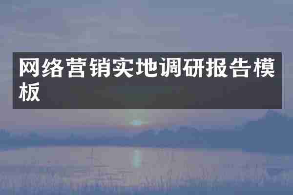 网络营销实地调研报告模板