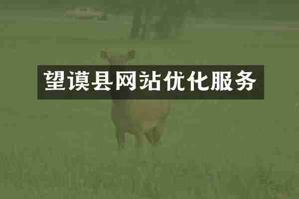 望谟县网站优化服务