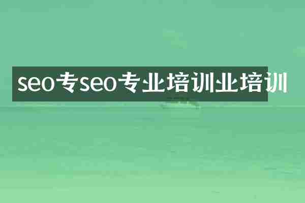 seo专seo专业培训业培训