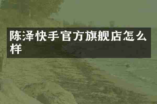 陈泽快手官方旗舰店怎么样