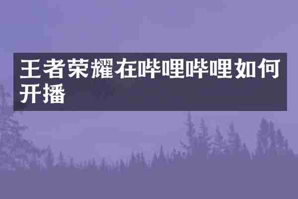 王者荣耀在哔哩哔哩如何开播