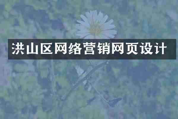 洪山区网络营销网页设计