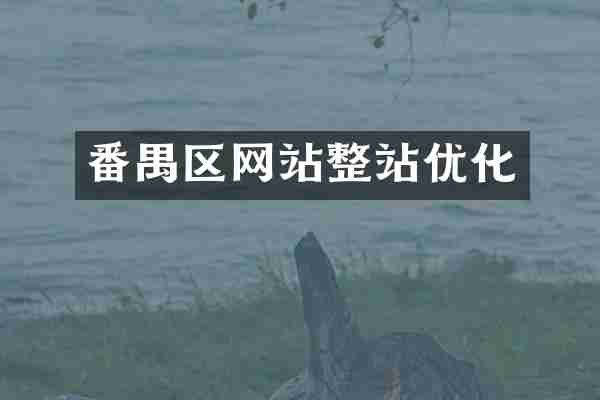 番禺区网站整站优化