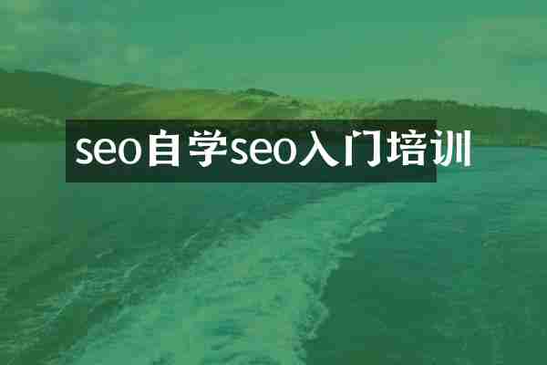 seo自学seo入门培训