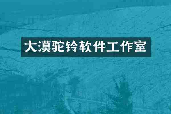 大漠驼铃软件工作室