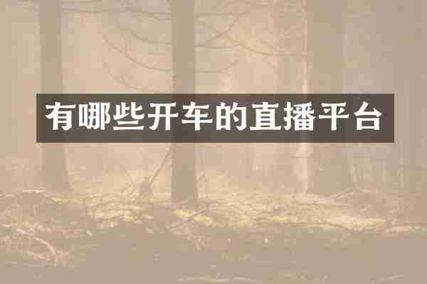有哪些开车的直播平台