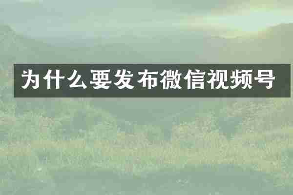 为什么要发布微信视频号