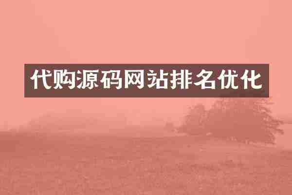 代购源码网站排名优化