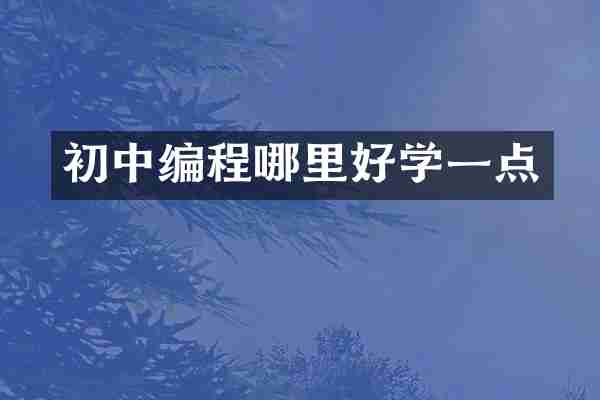 初中编程哪里好学一点