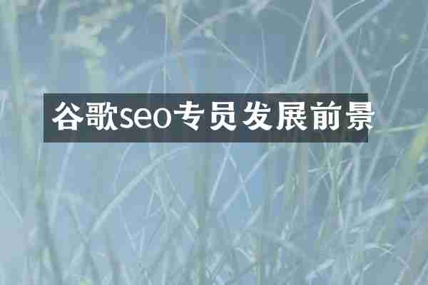 谷歌seo专员发展前景