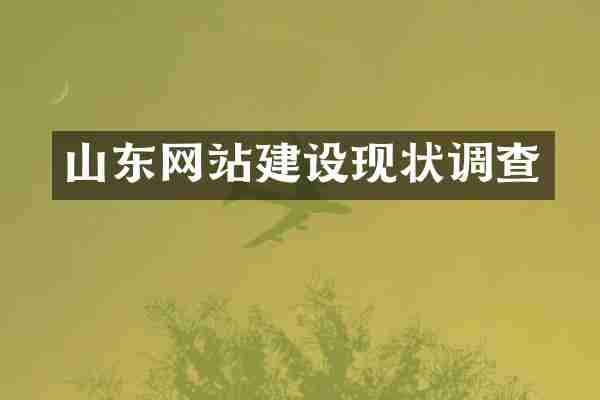 山东网站建设现状调查