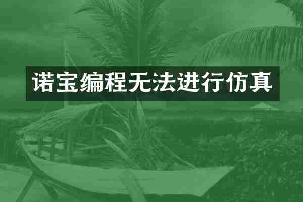 诺宝编程无法进行仿真
