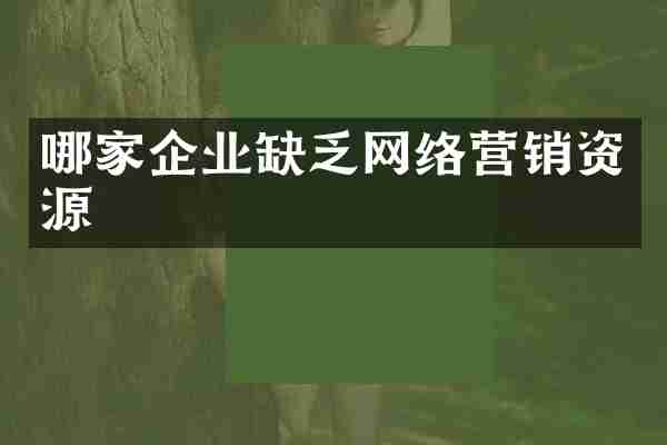 哪家企业缺乏网络营销资源