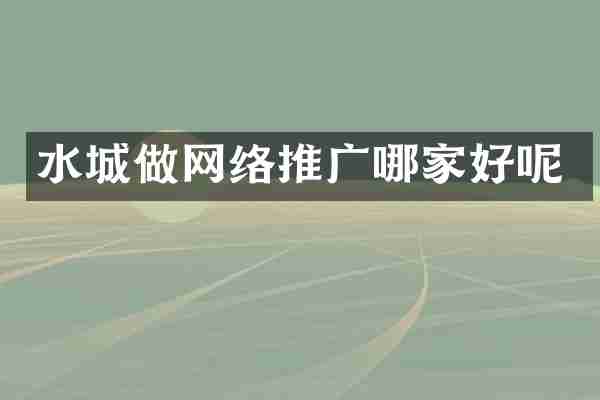 水城做网络推广哪家好呢