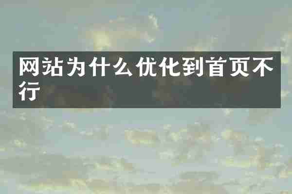 网站为什么优化到首页不行