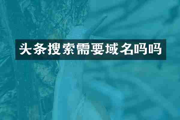 头条搜索需要域名吗吗