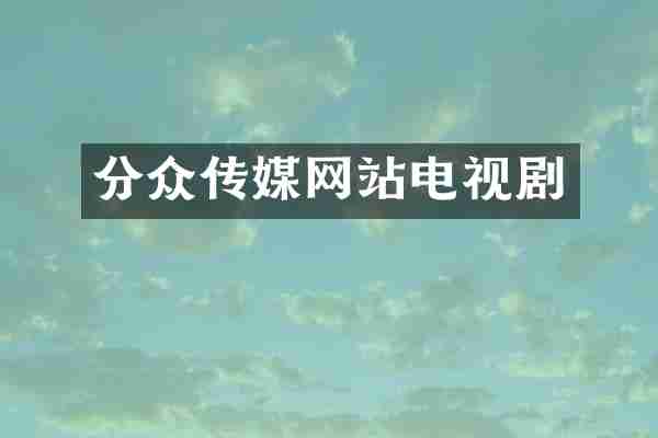 分众传媒网站电视剧