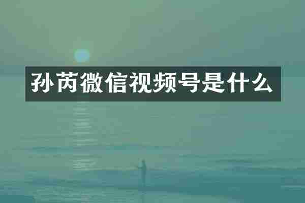 孙芮微信视频号是什么