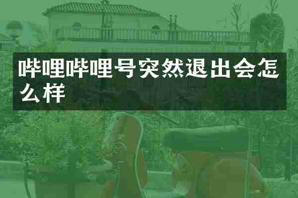 哔哩哔哩号突然退出会怎么样