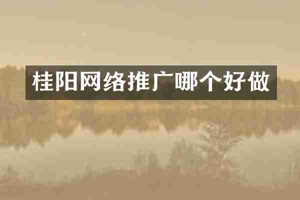 桂阳网络推广哪个好做