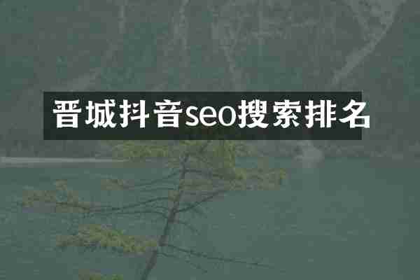 晋城抖音seo搜索排名