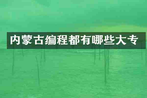 内蒙古编程都有哪些大专
