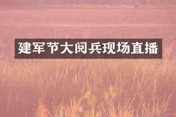 建军节大阅兵现场直播