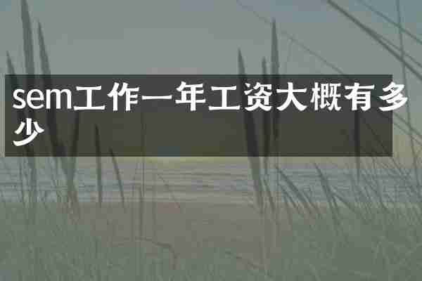 sem工作一年工资大概有多少