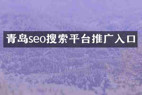 青岛seo搜索平台推广入口