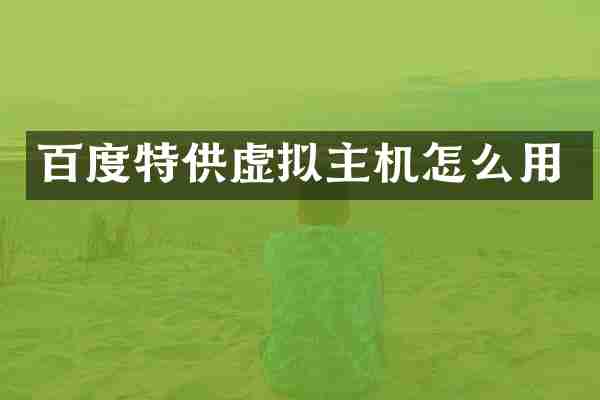 百度特供虚拟主机怎么用