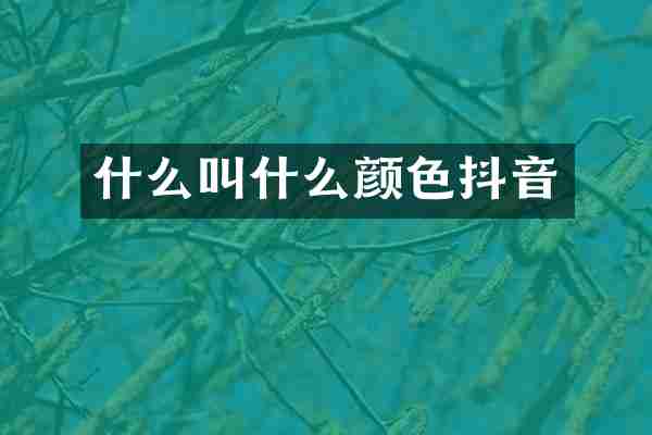 什么叫什么颜色抖音