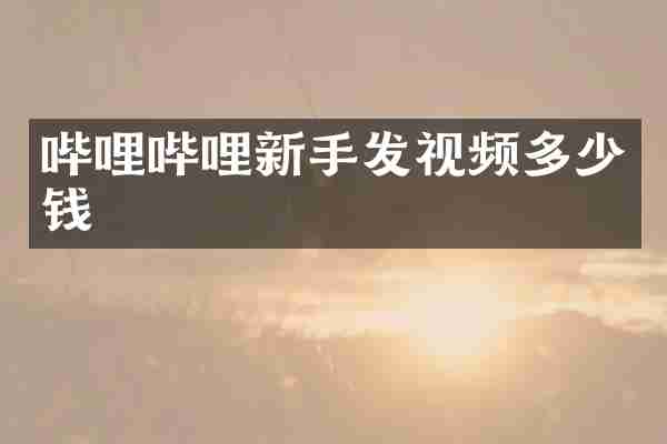 哔哩哔哩新手发视频多少钱