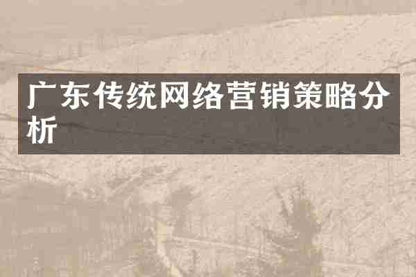 广东传统网络营销策略分析