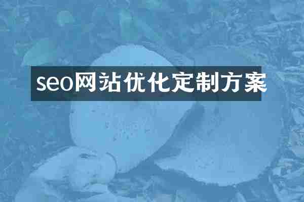 seo网站优化定制方案