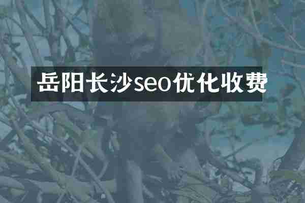 岳阳长沙seo优化收费