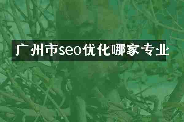 广州市seo优化哪家专业
