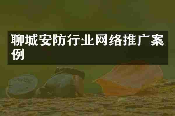 聊城安防行业网络推广案例