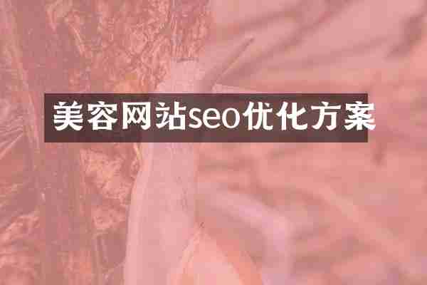美容网站seo优化方案