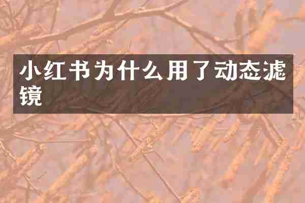 小红书为什么用了动态滤镜