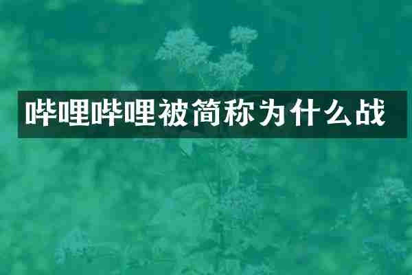 哔哩哔哩被简称为什么战