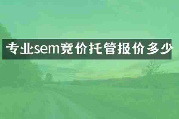 专业sem竞价托管报价多少