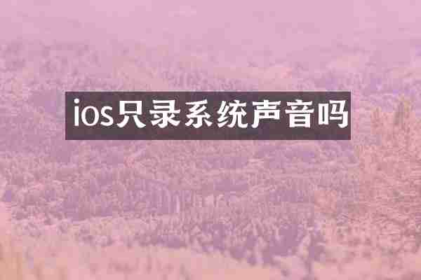 ios只录系统声音吗